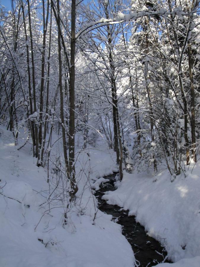 Chalet Tyrol ฟือเกน ภายนอก รูปภาพ